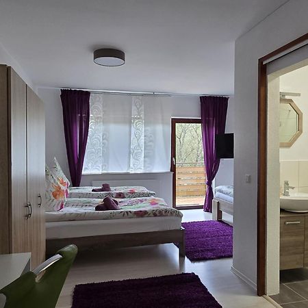 La Casa Suciu Apartment Forchtenberg ภายนอก รูปภาพ