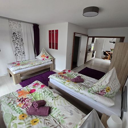 La Casa Suciu Apartment Forchtenberg ภายนอก รูปภาพ