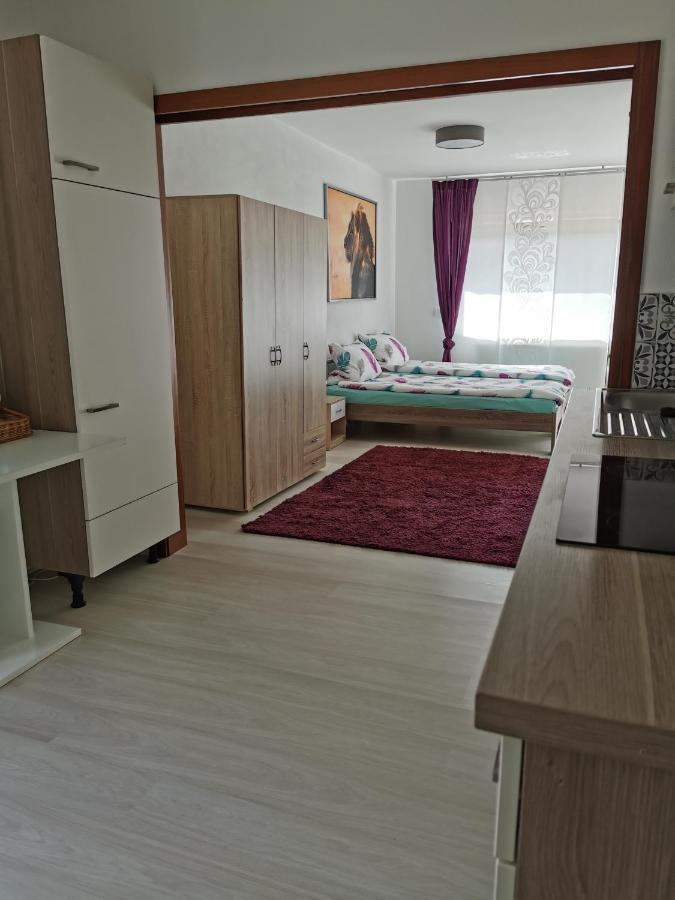 La Casa Suciu Apartment Forchtenberg ภายนอก รูปภาพ
