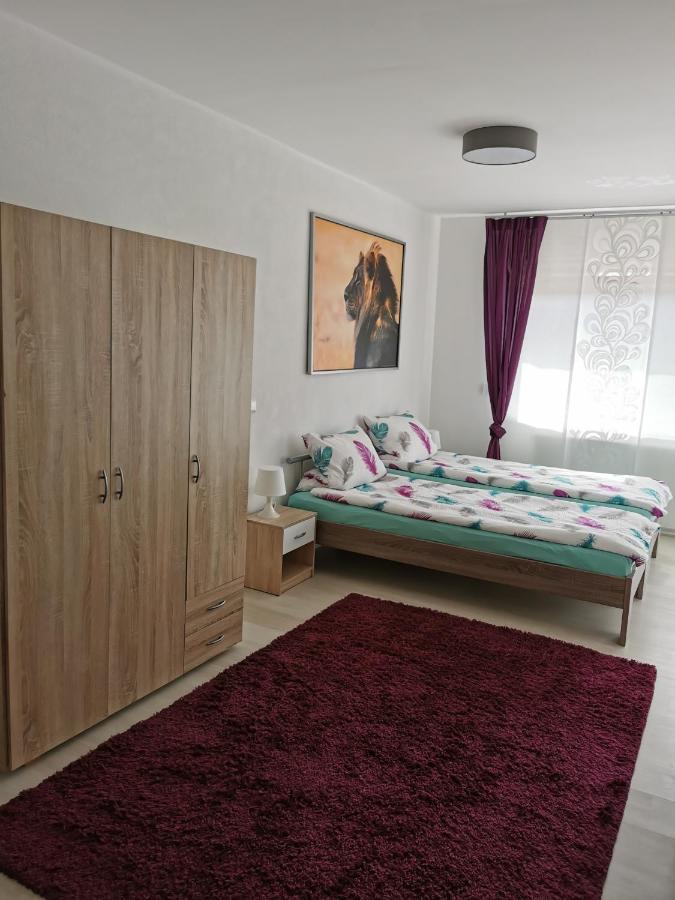 La Casa Suciu Apartment Forchtenberg ภายนอก รูปภาพ