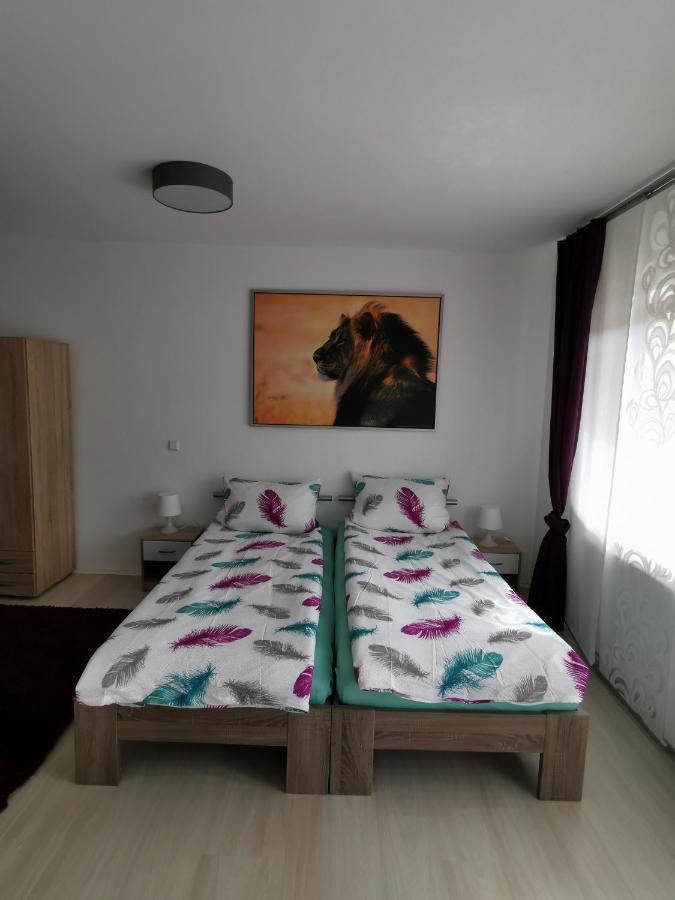 La Casa Suciu Apartment Forchtenberg ภายนอก รูปภาพ
